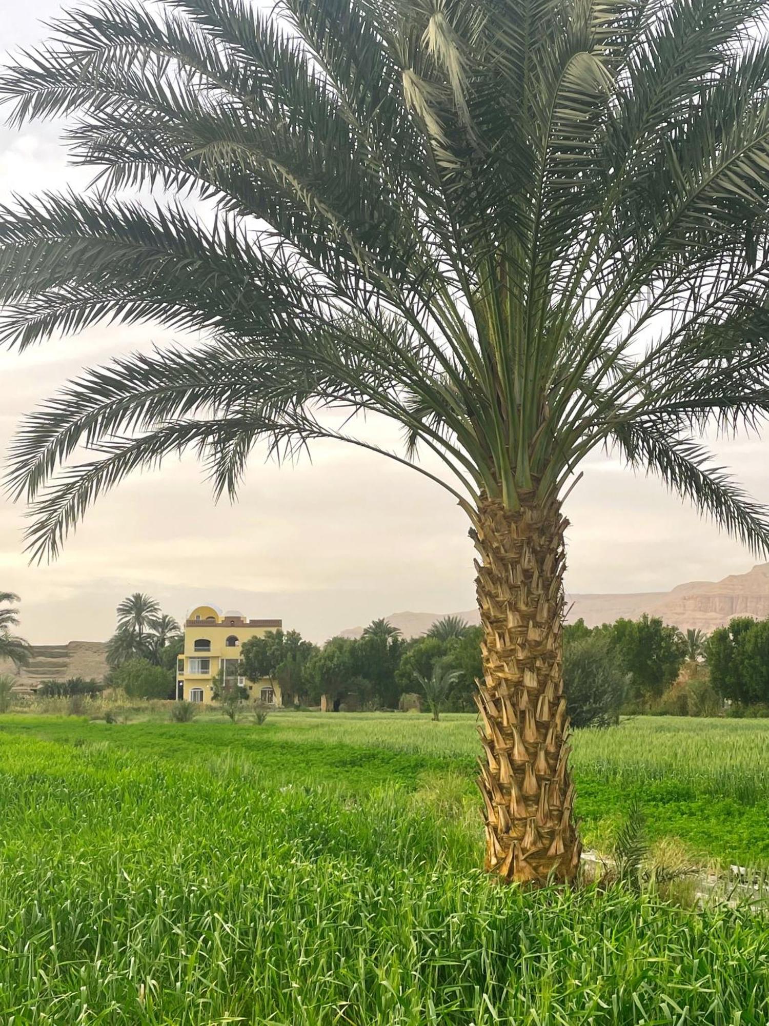 فندق Karima House الأقصر المظهر الخارجي الصورة